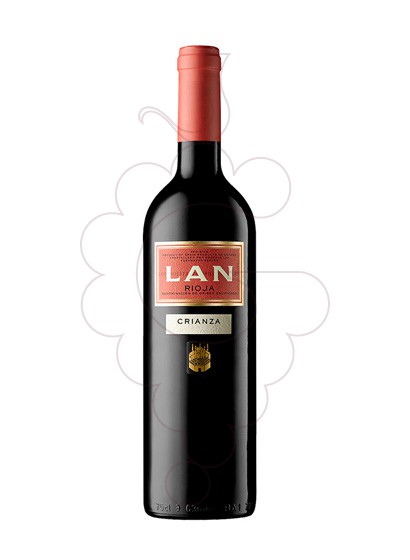 Foto Lan Crianza Magnum vi negre