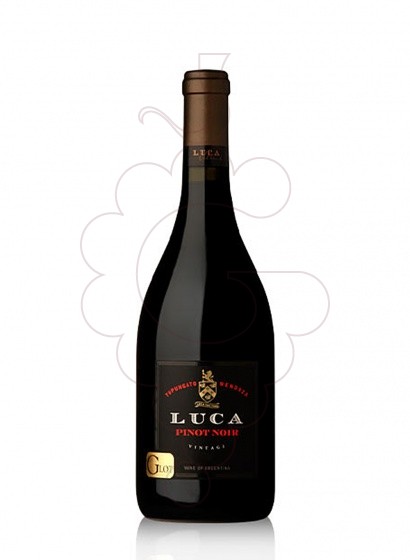 Foto Luca Pinot Noir vi negre