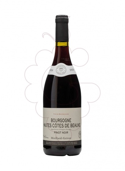Foto Moillard-Grivot Hâutes-Côtes de Beaune Negre vi negre