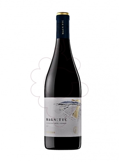 Foto Magnetic Negre vi negre