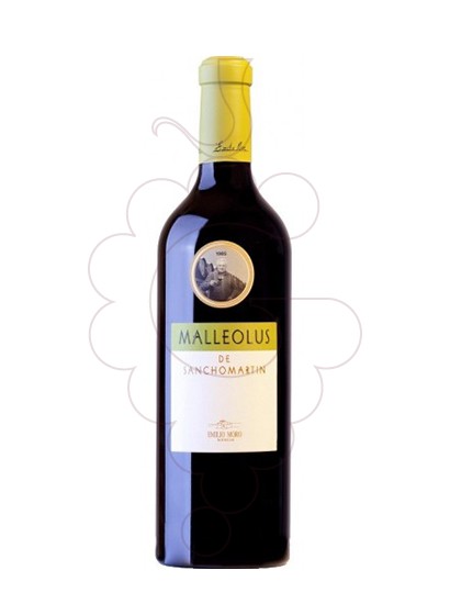 Foto Malleolus de Sanchomartín  vi negre