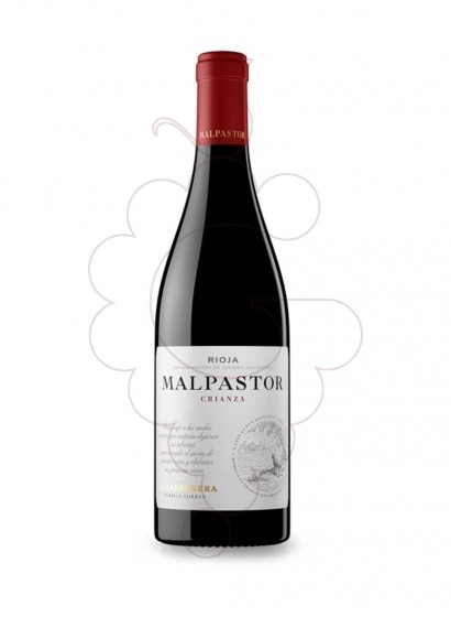 Foto Malpastor Crianza vi negre