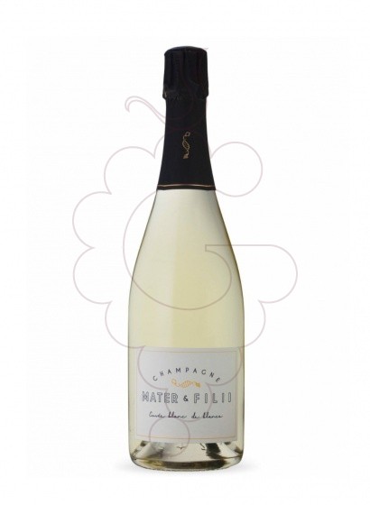 Foto Mater & Filii Blanc de Blancs Brut vi escumós