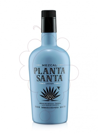 Foto Mescal Mezcal planta santa joven