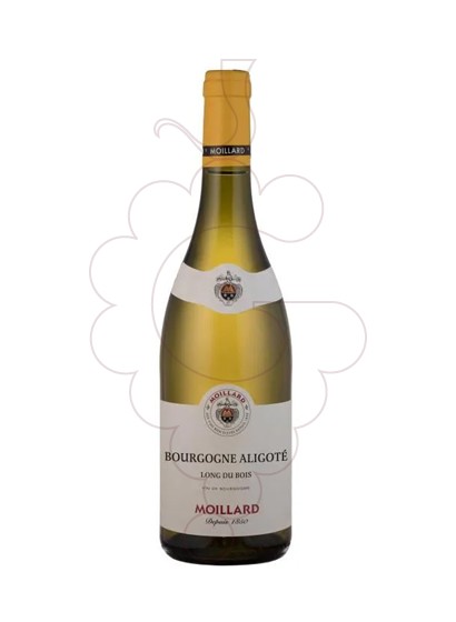 Foto Moillard Bourgogne Aligoté vi blanc