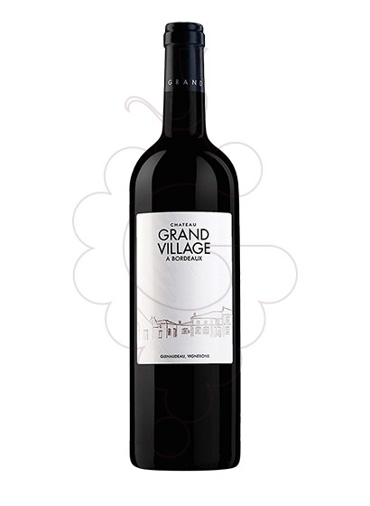 Foto Ch. Grand Village  vi negre