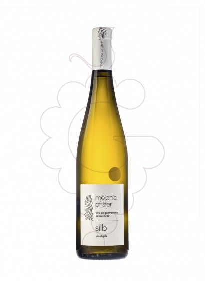 Foto Mélanie Pfister Silb Pinot Gris vi blanc