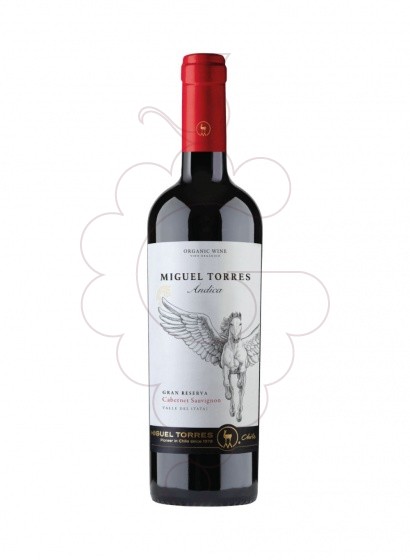 Foto Miguel Torres Andica Carmenere vi negre