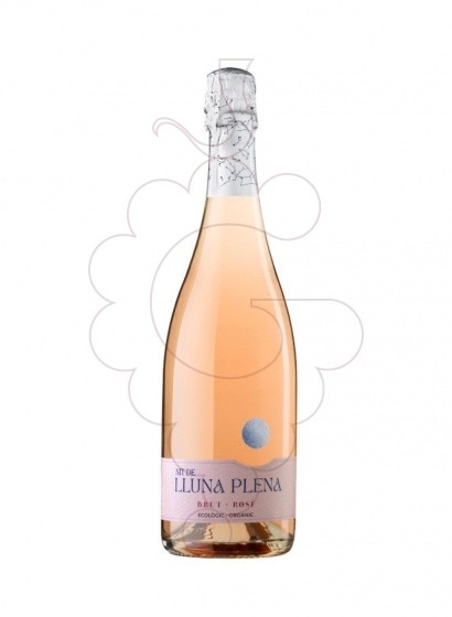 Foto Nit de lluna plena brut rose vi escumós