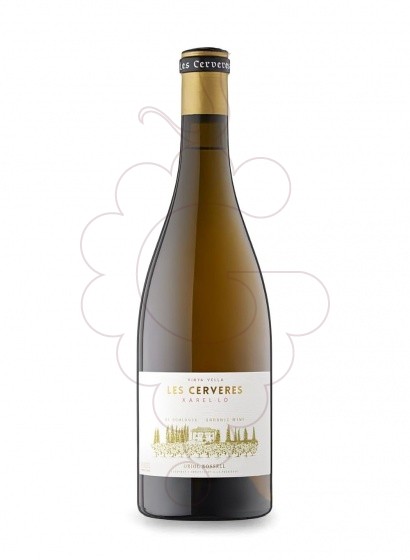 Foto Oriol Rossell Cerveres BL Xare vi blanc