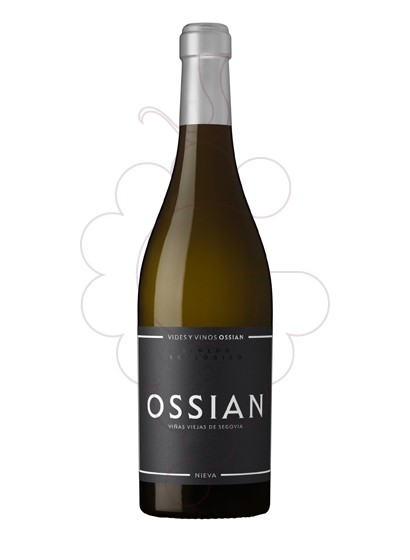 Foto Ossian vi blanc