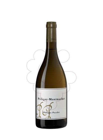 Foto Pacalet Puligny-Montrachet vi blanc
