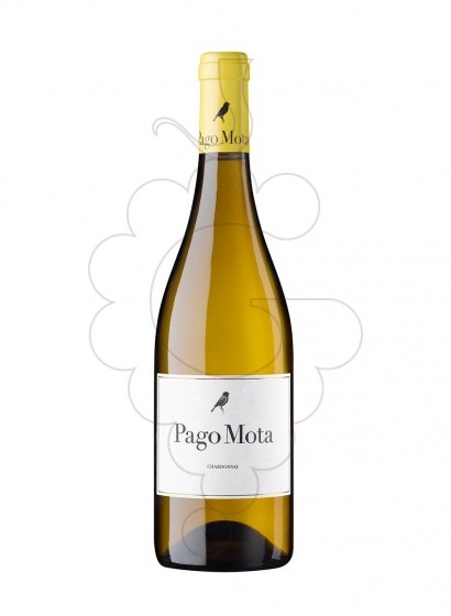 Foto Pago Mota Chardonnay vi blanc