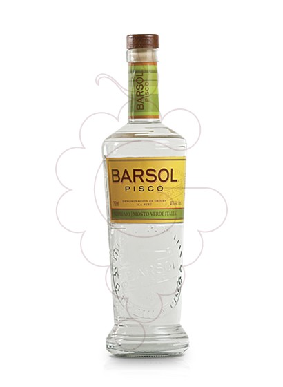 Foto Pisco Pisco Barsol Supremo Mosto Verde Italia