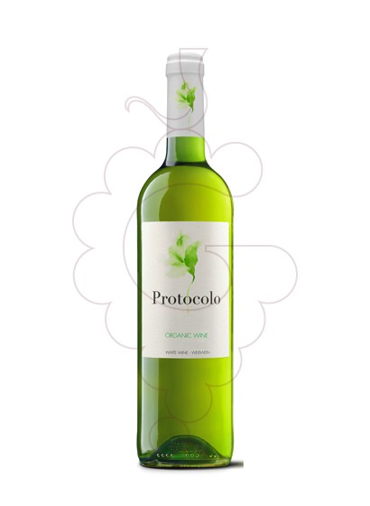 Foto Protocolo Blanc Orgànic vi blanc