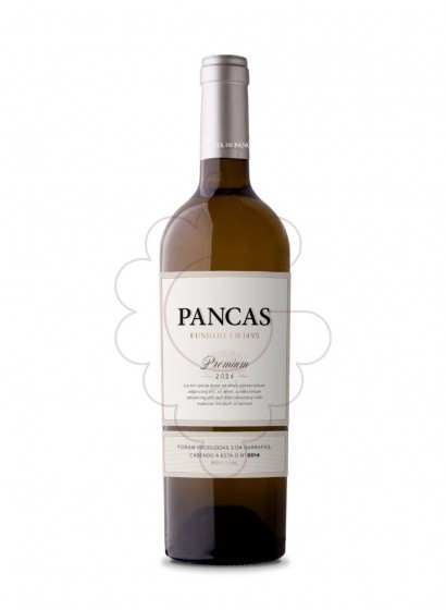 Foto Quinta De Pancas Premium Branco vi blanc