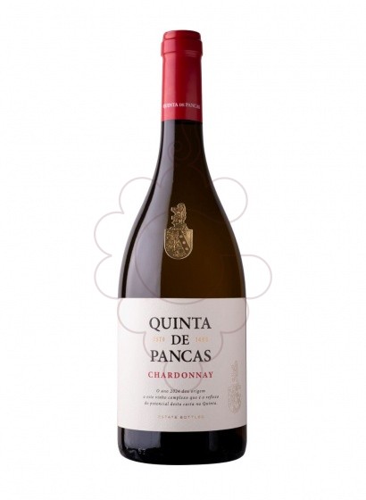 Foto Quinta de Pancas Chardonnay vi blanc