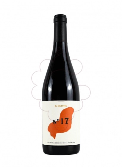 Foto El Reventón Nº17  vi negre