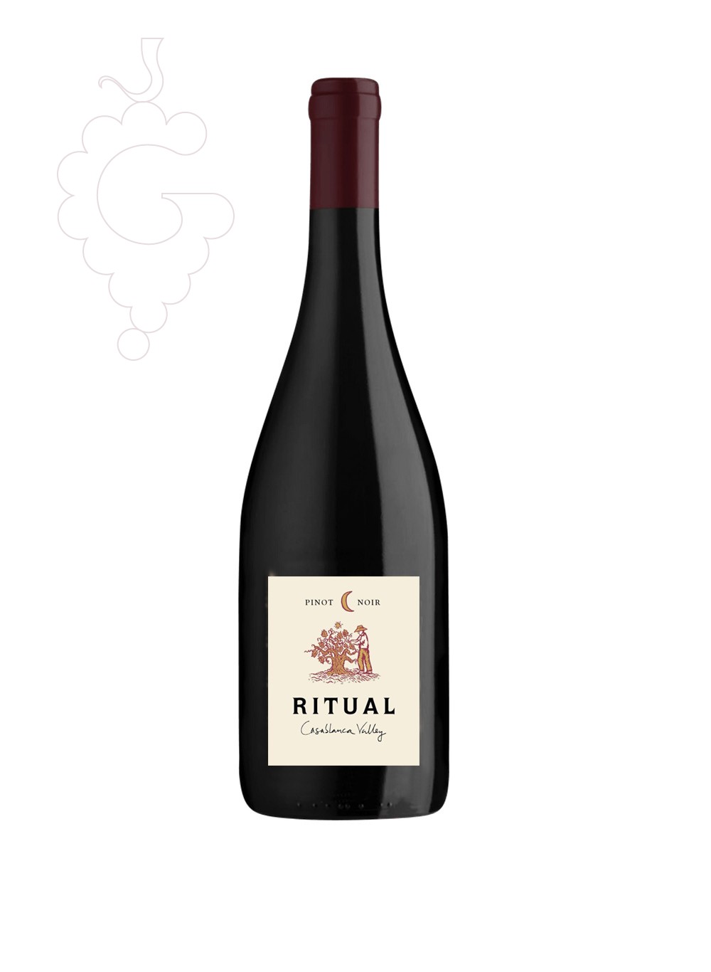 Foto Ritual Pinot Noir vi negre