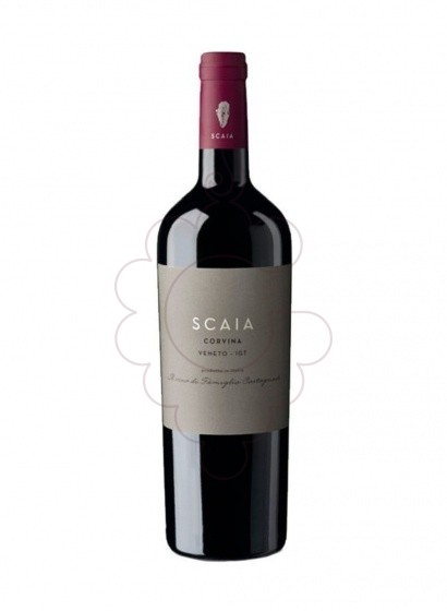 Foto Scaia Corvina Negre 2021 vi negre