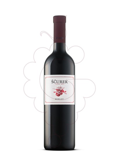 Foto Scurek Merlot vi negre