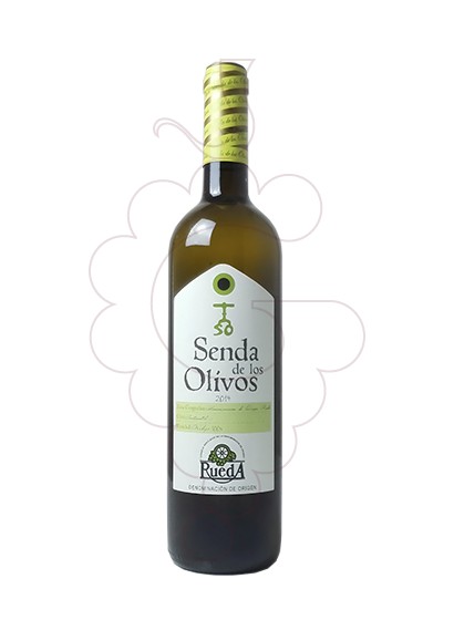 Foto Senda de los Olivos vi blanc