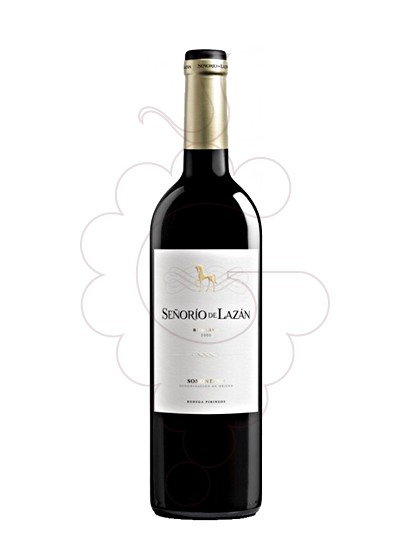 Foto Señorío de Lazán Reserva Magnum vi negre