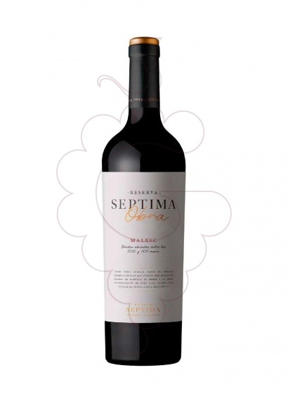 Foto Septima Obra Malbec vi negre
