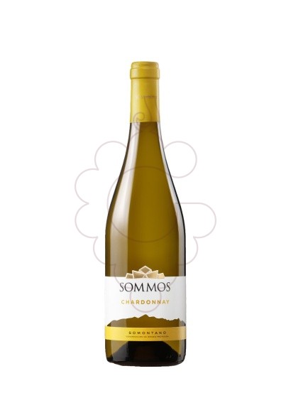 Foto Sommos Chardonnay vi blanc