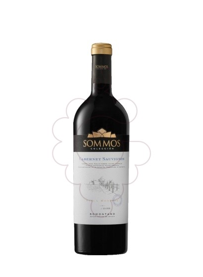 Foto Sommos Colección Cabernet Sauvignon vi negre