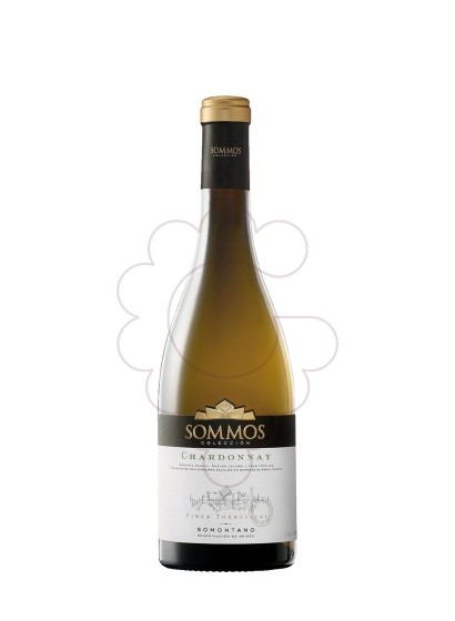Foto Sommos Colección Chardonnay vi blanc