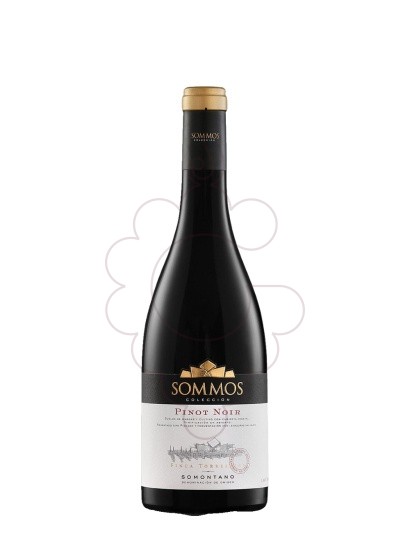 Foto Sommos Colección Pinot Noir vi negre
