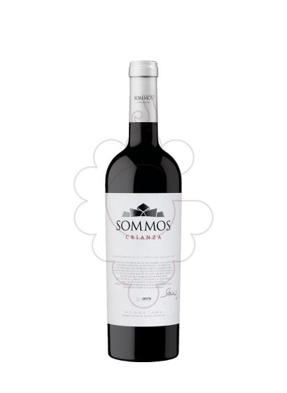 Foto Sommos Crianza vi negre