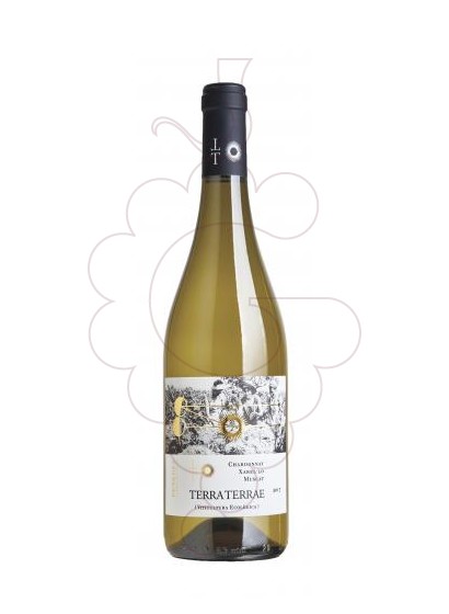 Foto Terra Terrae Blanc vi blanc