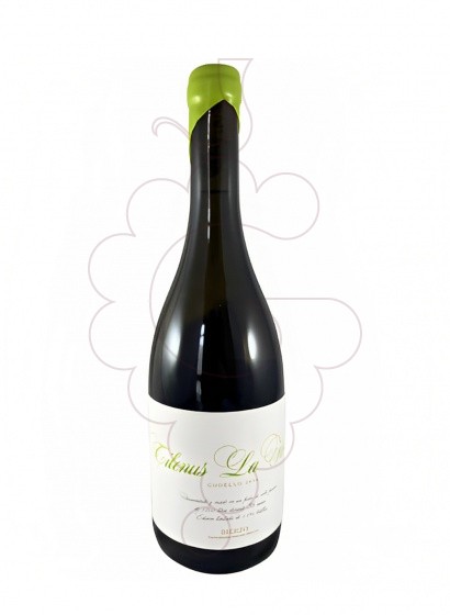 Foto Tilenus La Florida Godello vi blanc