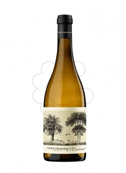 Foto Tintoralba El Cantorral Blanc de Noir vi blanc