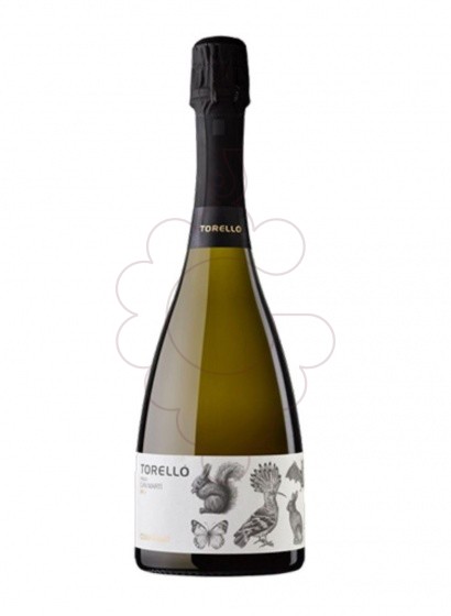 Foto Torelló Finca Can Martí vi escumós