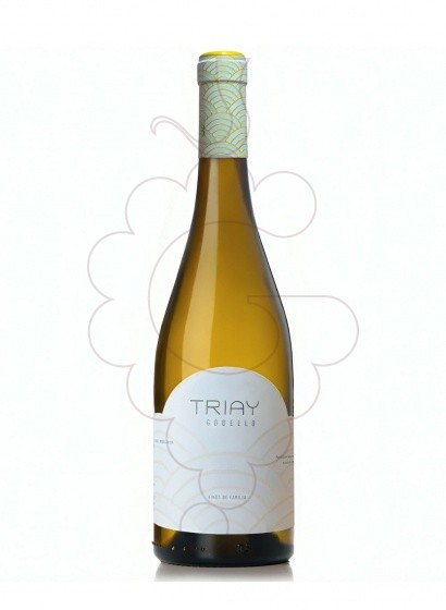 Foto Triay Godello vi blanc