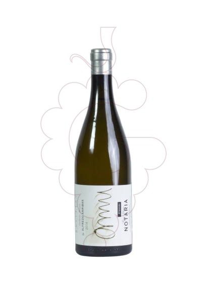 Foto Trossos Tros Blanc Notaria vi blanc