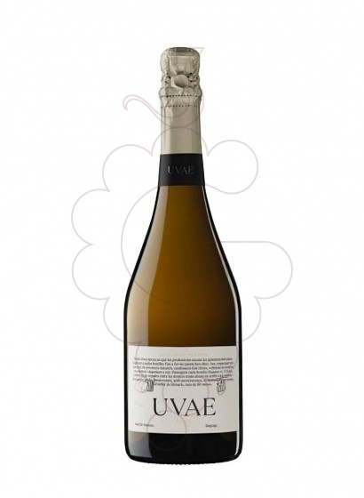 Foto Uvae Brut Nature Gran Reserva vi escumós