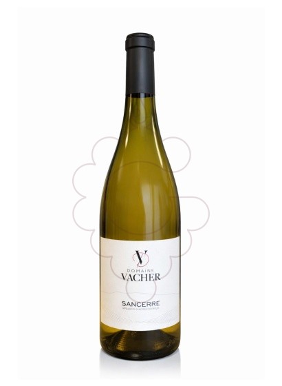 Foto Vacher Sancerre vi blanc