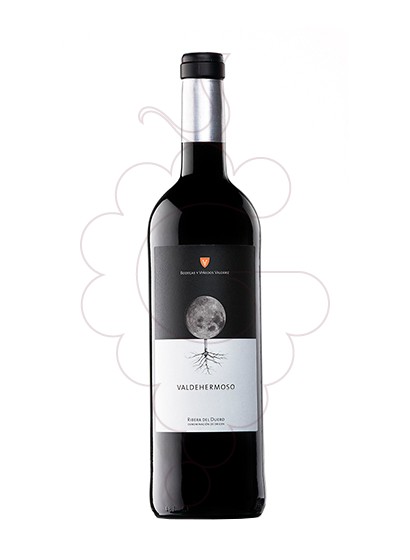 Foto Valdehermoso Crianza Magnum vi negre