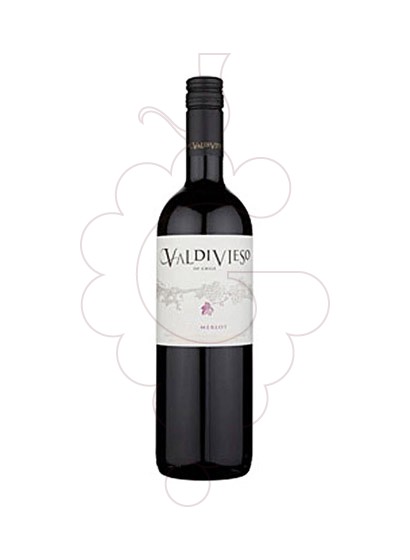 Foto Valdivieso Premium Merlot vi negre