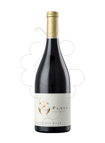 Foto Ventisquero Pangea Syrah vi negre