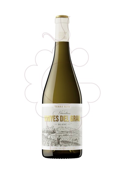 Foto Vinyes del Grau Blanc vi blanc
