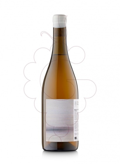 Foto Vinyes Singulars Malvasia Brisat vi blanc