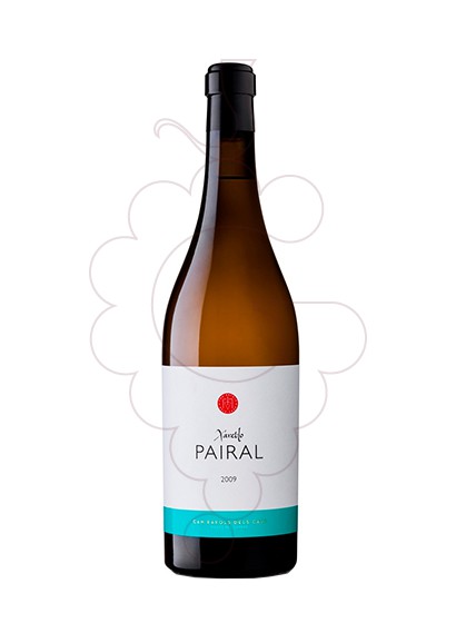 Foto Xarel.lo Pairal Magnum vi blanc
