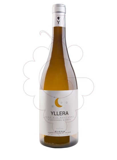 Foto Yllera Sauvignon Blanc vi blanc